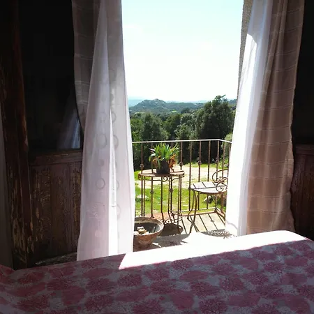 Alojamento de Acomodação e Pequeno-almoço Gallo Di Rena