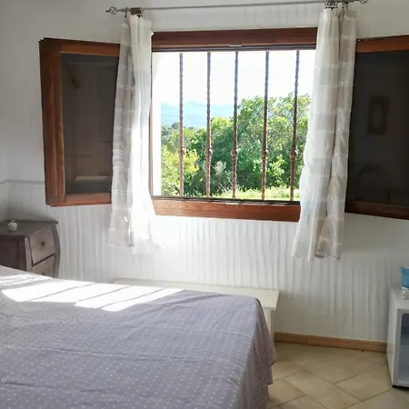 Gallo Di Rena 3*