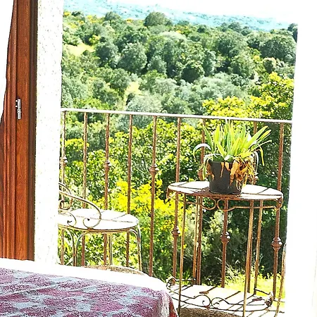 Gallo Di Rena 3*